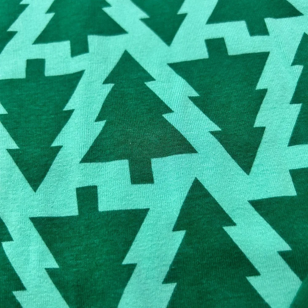 Holiday Lane Evergreen Forest Kids Pajama Set Size 14